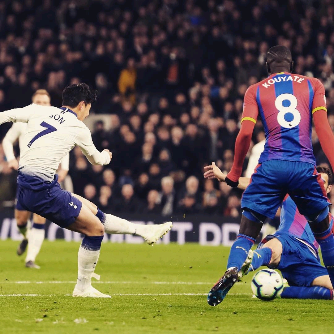 但对其职业 但对其职业